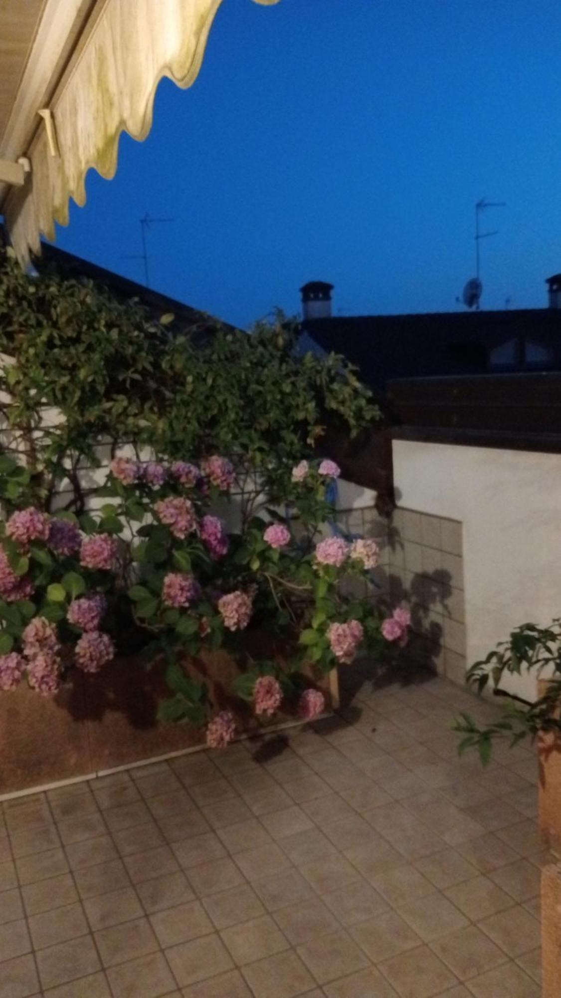 Apartmán Attico Di Marisa Codroipo Exteriér fotografie